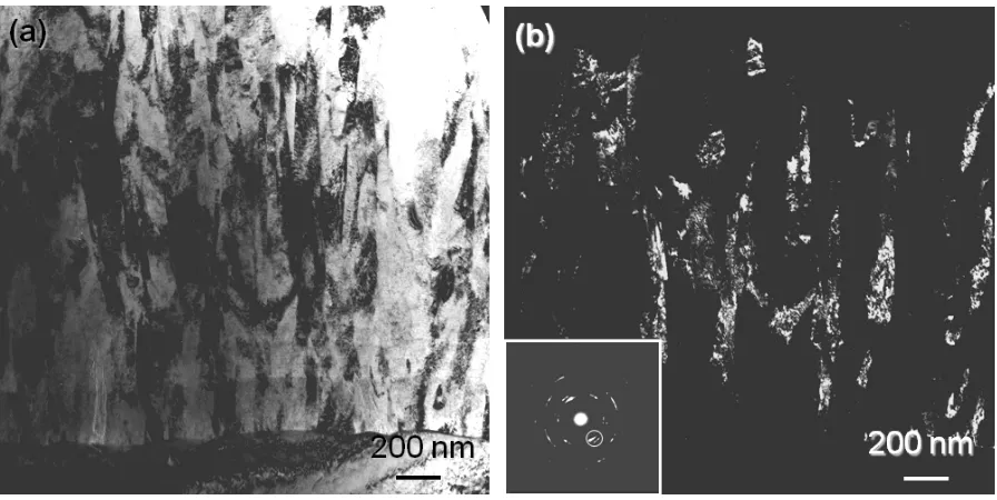 FIG 12 Cross-sectional (a) BF and (b) DF micrographs of TiAlN/VN coating grown at -125V, showing competitive growth and coarsening of void-free columns