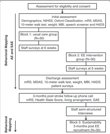 Fig. 1 Flowchart of study.SAE NIHSS National Institutes of Health StrokeScale, mRS modified Rankin Scale, MSAS Mobility Scale for AcuteStroke, MBI Modified Barthel Index, HADS Hospital Anxiety andDepression Scale, EE enriched environment, AE adverse events, serious adverse events