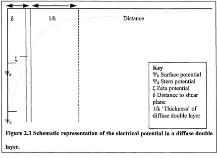 Figure 2.3 Schematic representation of the electrical potential in a diffuse double 