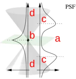 Table 1: Results of test on simulated focus set