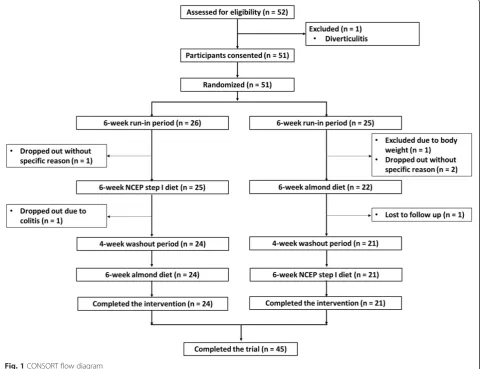 Fig. 1 CONSORT flow diagram