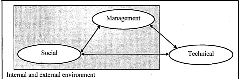 Figure 2.5 Organizational maturity in the context of IS management and 