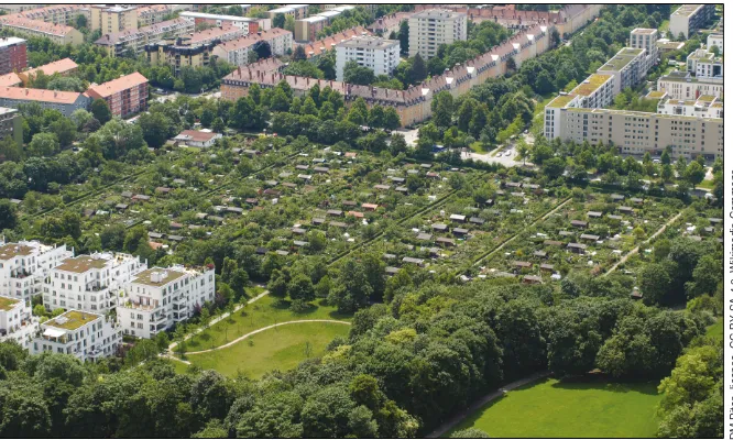 Figure 2. The majority of UGS in cities are small, privately owned gardens and yards, exemplified here by allotment (community) gardens in Munich, Germany