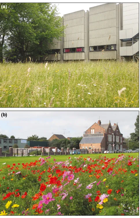 Figure 3. Alternative management regimes, such as conversion of lawns into (a) grassy meadows or (b) pollinator meadows, not only improve green spaces for biodiversity but also reduce annual maintenance activities and cost.