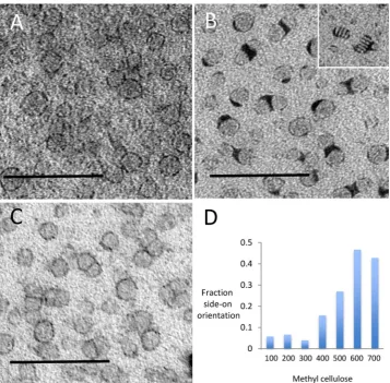 Fig. 5. Nanodiscs. Nanodiscs in MCof the nanodisc is best displayed in the mixed stain