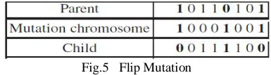 Fig.5   Flip Mutation  
