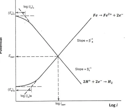 Figure 1-6: Current-potential relationships for the anodic dissolution of Fe and the cathodic 