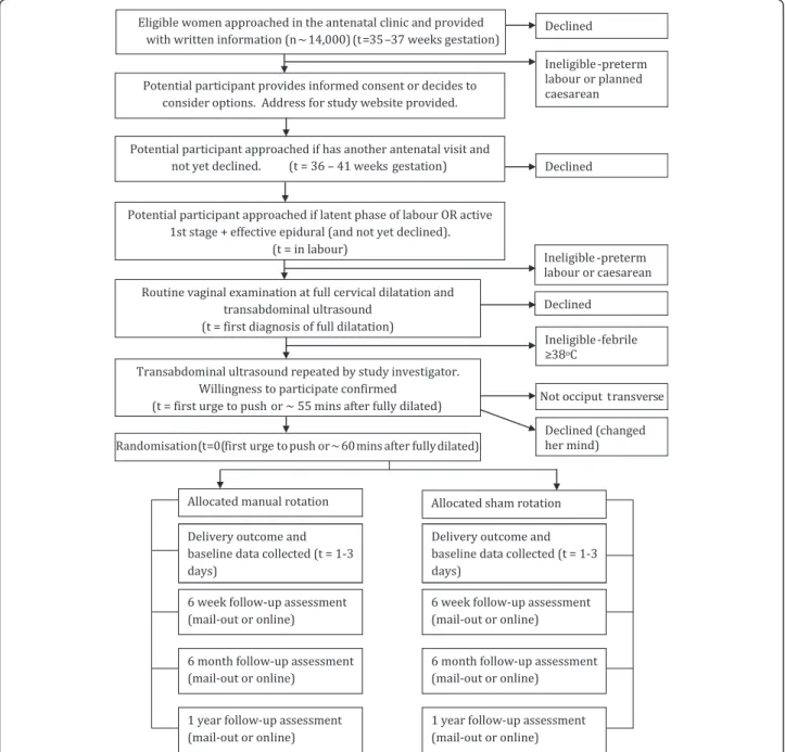 Fig. 1 An overview of the conduct of the TURN-OUT trial. Losses to follow-up for the primary outcome are not expected, as it occurs within hours of randomisation and the mode of delivery (caesarean, vacuum, forceps and normal birth) is easily obtained from