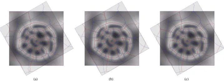 Fig. 8. These images illustrate the dependence of the steepest-descent construction (a) on the mesh orientation, and the resilience of the two proposed techniques (b, c)