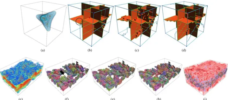 Fig. 10. We show results for two three dimensional datasets. The top row shows the ascending 2-manifolds, arcs, and nodes of the electron probability density function of a tetrahedrane(C4H4) molecule (a)