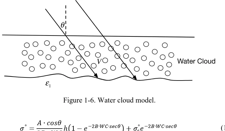 Figure 1-6. Water cloud model. 