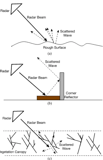 Figure 1-9. Scattering components in model-based decomposition. (a) surface scattering
