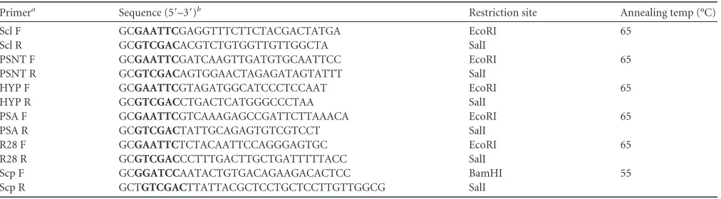 TABLE 1 Oligonucleotides used in this study
