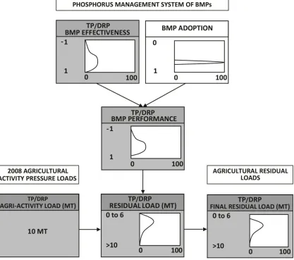Figure 3.2: BBN model structure for phosphorus management based on the left side of the Bowtie Risk Analysis Tool