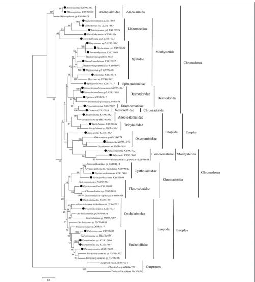 FIGURE 5 | Maximum likelihood tree based on a region of 362 bp of COI gene. Sequences labelled with black dots are from this study
