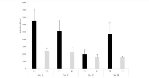 FIGURE 2 | Mean density ±C, D) on each sampling occasion (T standard error (SE) of nematode assemblages (number of individual per 10 cm−2) at each of the four sampling sites (A, B,1, T2).