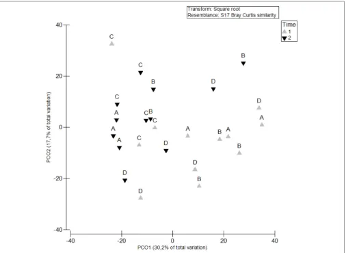 FIGURE 3 | Principal coordinates analysis (PCO) based on nematode densities at each sampling site (“Site”: A, B, C, and D) and sampling occasion