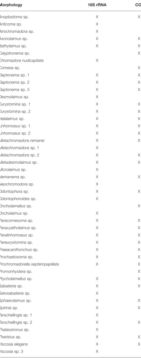 TABLE 4 | Nematode species list identiﬁed by the three methods(morphology, 18s rRNA gene and COI gene).