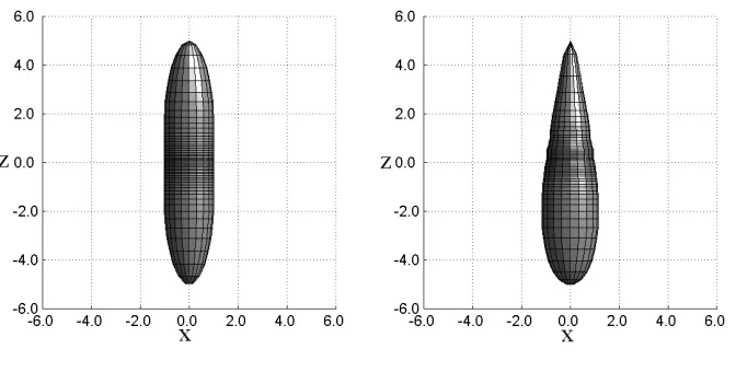 Figure 7: Contact surfaces for the PHGO model with an elongation k = 5.For shorter elongations, the shapes are similar but smoother.