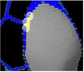 Figure 2.20: The attached suture nodes in green are the centers of each sub-regions. 