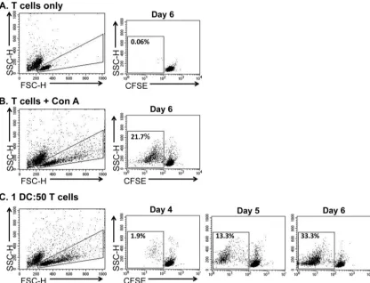 FIG 2 DCs induce the proliferation of autologous T cells. CFSE-stained T cells were nonstimulated (A), ConA-stimulated (B), or cocultured with DCs (C) inmedium containing autologous serum