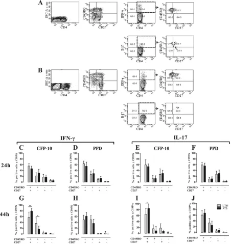 FIG 3 Phenotypes of IFN-�- and IL-17-producing CD4� T cells in non-TBi, LTBi, and ATB individuals