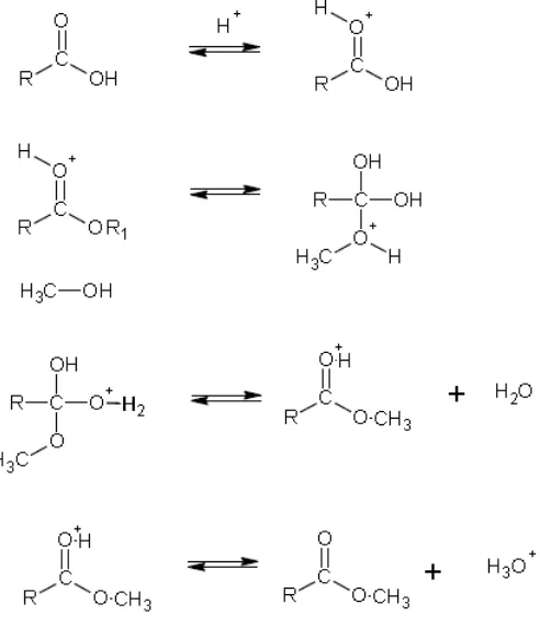 Figure 2-3 Mechanism of Fisher esterification reaction by methanol 
