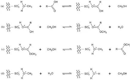 Figure 2-5 Scheme of reaction mechanism for the esterification catalyzed by ion-exchange acid 