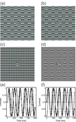 Figure 1: Example stimuli and temporal waveforms. The patterns in panels a-c are micropatches of sine- wave grating arranged in a checkerboard formation (Meese 2010)
