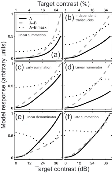 Figure  2:  Predictions  of  six  models  of  signal combination  (panels  a-f).  In  each  panel,  the model  responses  to  a  single  input  (A,  solid curves)  or  two  inputs  (A+B,  dashed  curves)  are compared  as  a  function  of  component  contr