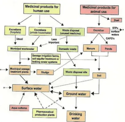 Figure 2.1.  Occurrence of pharmaceutical and its metabolite residues showing possible sources and pathways in the aquatic environment (Heberer and Adam, 2002a)
