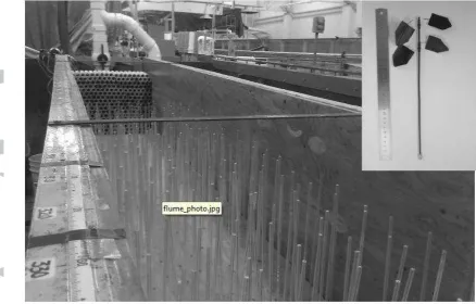 Figure 5. Example of the flume set up for a Phragmites run, and inset picture showing modified dowels for cottonwood plant runs, with addition of synthetic leaves