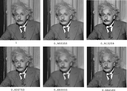Figure 2.4: An example of computing SSIM similarity values for a set of 6 images. Upperleft corner is the original image, hence similarity value is equal to 1