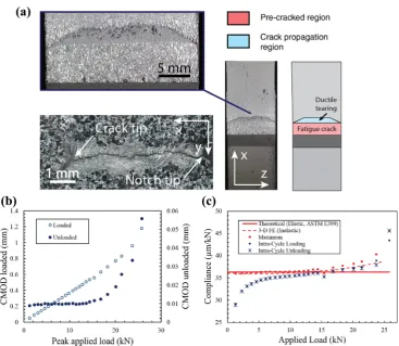 Fig. 5 (a) Optical microscopy of