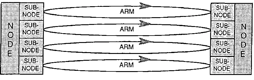 Figure  3:  Torus  of  Orwell rings  