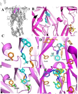 Table 1. P2X7 receptor antagonist activity of novel compounds.a 