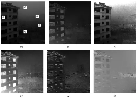 Figure 3. The multi optical parametric imaging effect under the fog. (a) The intensity figure; (b) Polarized radiation figure; (c) non-polarization radiation figure; (d) Linear polarization figure; (e) Circular polarization figure; (f) The polarization Ang