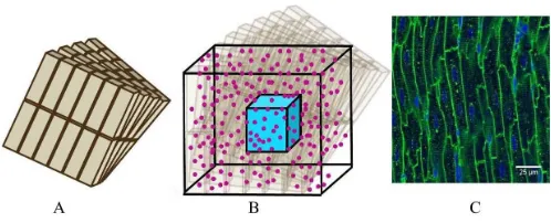 Fig. 1. Schematic of model geometry (note model sizes may differ fromthose in the Figure)