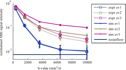 Fig. 7.Effect of b-value changed by gradient strength on MD (left) andFA (right) for the simulated (solid lines) and experimental (dotted lines)results