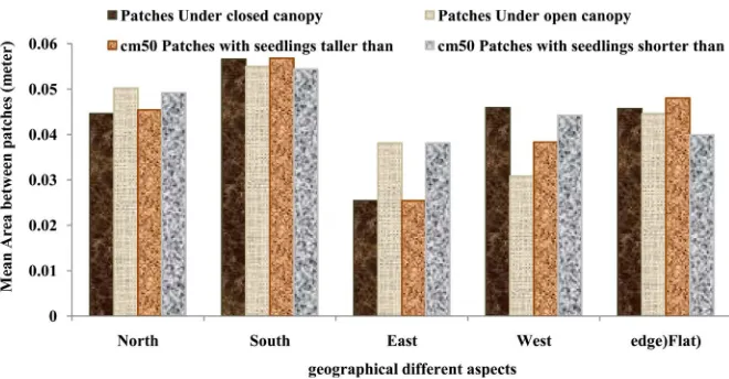 Figure 2. Analysis results of the distance average metric between regeneration patches in different geographical directions