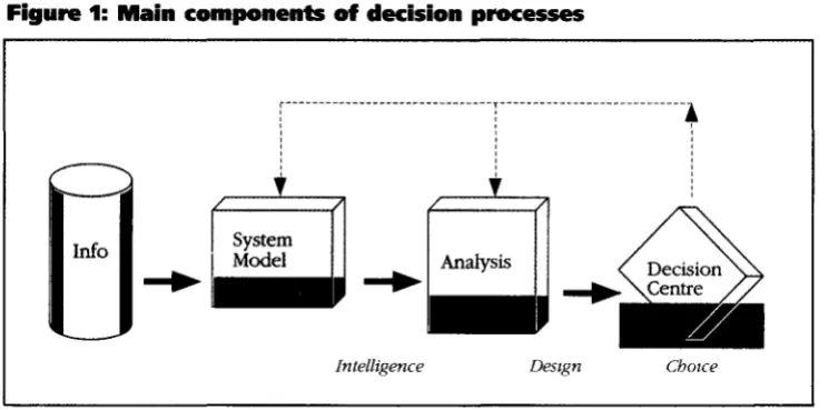 Figure 1: Main components of decision processes 