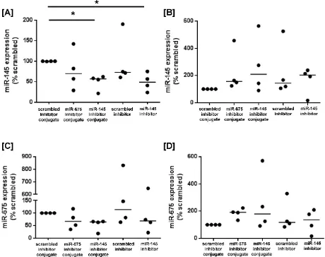 Figure 6: Homing peptide-miRNA inhibitor conjugates reduce miR-145 expression in first trimester placental explants