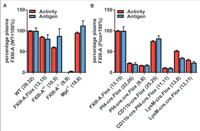 Figure 1. Plasma factor (F)XIII-A activity was measured by biotin-pentylamine incorporation (red bars)