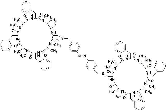 Figure 1.14 Ghadiri’s peptide photoswitchable system. 