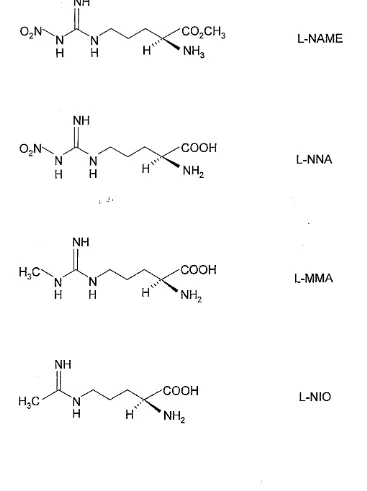 Figure 6. The structures of the L-arginine (L-NAME, L-NNA and L-MMA) and 