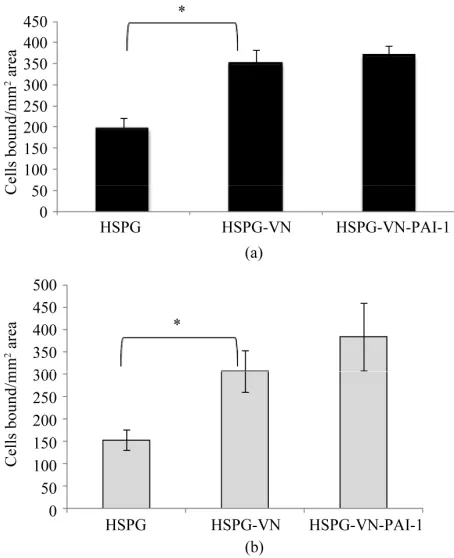 Figure 7(a) shows the binding of unstimulated EA.hy926 cells to HSPG alone, or HSPG bound to monomeric vi- tronectin or the vitronectin/PAI-1 complex