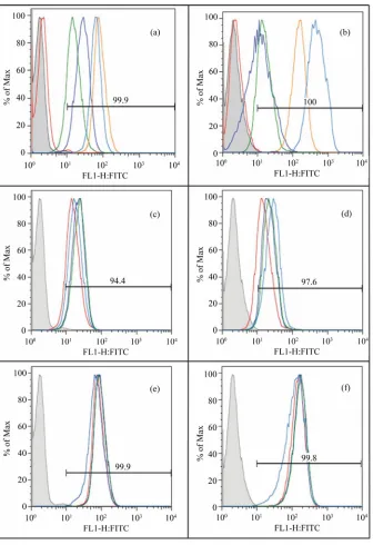 Figure 9. Evaluation of cell surface receptor expression by flow cytometry. Figures 9(a) and(b) compare the basal expression level of uPAR (red), αvβ3 (blue), αvβ5 (green), α5β1 (brown) and α2β1 (turquoise) on unstimulated EA.hy926 cells and unstimulated 1