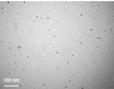 Figure 4. Plot of SPR maximum absorbance versus corresponding gold concentration and linear fitting for diluted PEG grafted gold nanoparticles suspensions