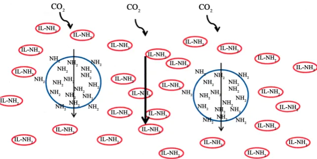 Figure 4. CO2 diffusion schema for the bulk aqIL containing PAlAm. 