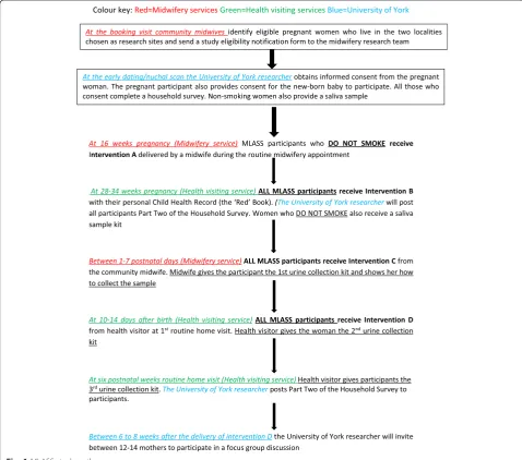 Fig. 1 MLASS study pathway